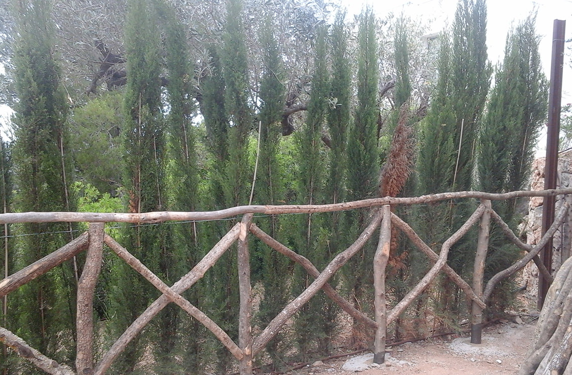 Fusteria Sa Serradora, Sineu, Mallorca, Fusta Tradicional, Barreres Mallorquines, Taules, Barreres Menorquines